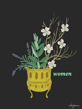 Womens Clothing